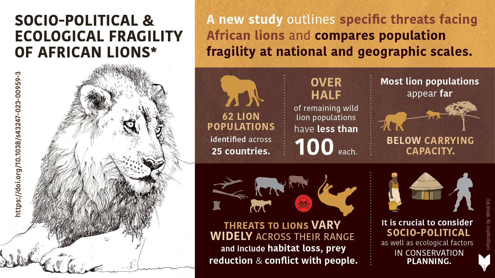新的分析揭示了非洲狮种群面临的不同威胁