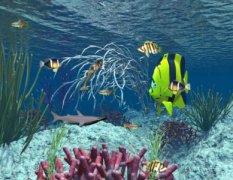 地球上有400种可变性鱼 国外媒体披露水中物种如何变化

